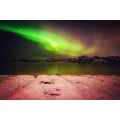 Artic Aurora